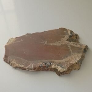 Unique Agate Slab Or Thunderegg Slice Collectectible